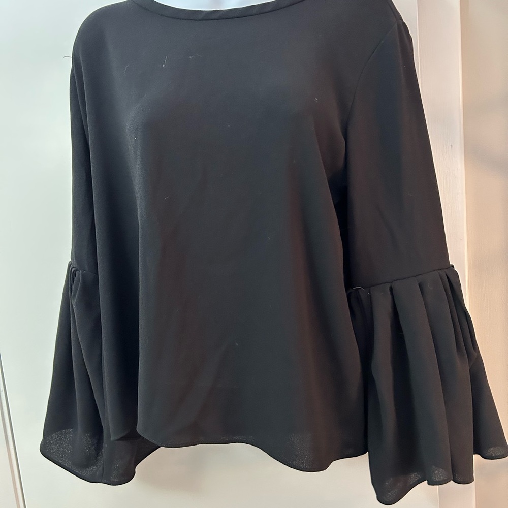 Zara Blouse Long Sleeved